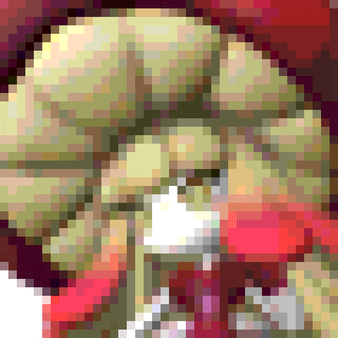 Mycora