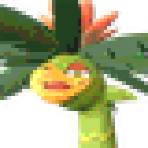 Palumba