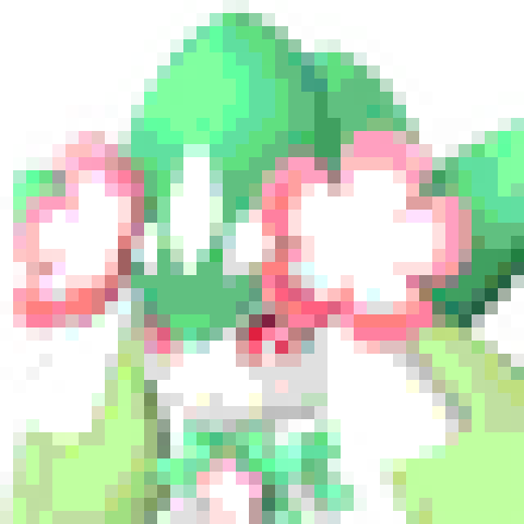 Petallia