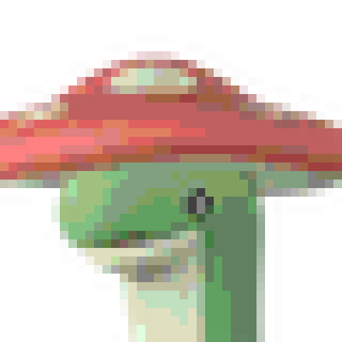 Shroomer