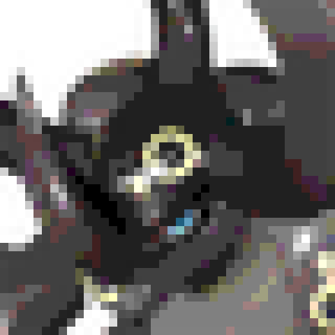 Warsect